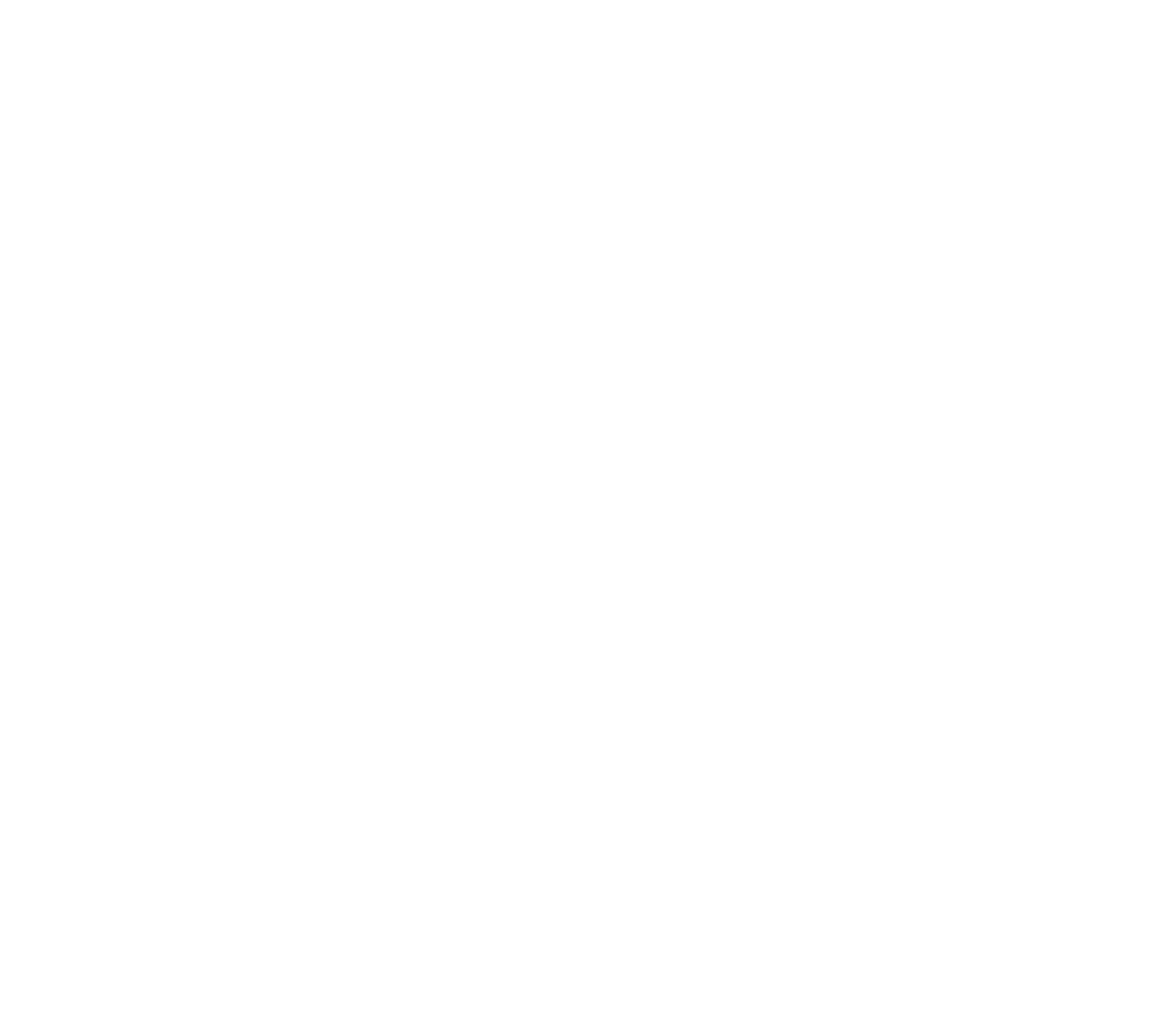 RevOps Dev